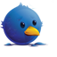 twitter Bird